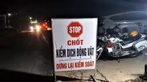 Lâm Đồng phát hiện ổ dịch tả lợn Châu Phi đầu tiên