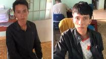 Hai anh em ruột rủ nhau đi trộm bò