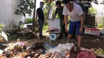 Phát hiện nhiều động vật quý hiếm, nguy cấp trong tủ đông