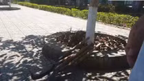 Nhập vai doanh nghiệp mua hồ sơ dự thầu, nhóm phóng viên bị hành hung