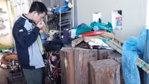 Phát hiện gỗ thông đỏ đặc biệt quý hiếm trong nhà Trưởng BQL rừng Đại Ninh