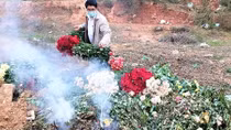 Xót xa nông dân cắt hoa đem đi đốt