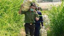 Công an Lâm Đồng hỗ trợ TP Hồ Chí Minh 17 tấn rau