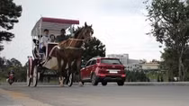 Đà Lạt thiệt hại 26 tỷ đồng do khách hủy phòng