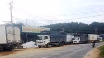 Lật tẩy “trạm hóa trang” hàng Trung Quốc gắn mác rau Đà Lạt