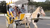Khách hủy trên 16.000 phòng, Đà Lạt mất 19 tỷ đồng