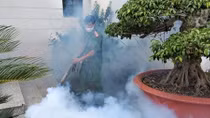 Lâm Đồng dừng toàn bộ dịch vụ vui chơi giải trí 