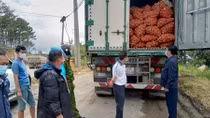Tạm giữ 29 tấn khoai tây Trung Quốc nhập vào Đà Lạt