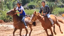 Sôi nổi giải đua ngựa không yên trên xứ Langbiang