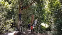 Phó Thủ tướng chỉ đạo làm rõ sai phạm ở KDL Quốc gia hồ Tuyền Lâm