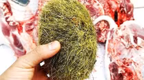 Mổ heo nái 15 năm phát hiện trư cát quý hiếm nặng hơn 0,5kg