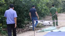 Chém chết kẻ trộm rồi về nhà uống thuốc sâu tự tử