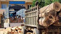 Gặp Công an, tài xế bỏ xe và gỗ lậu trốn vào rừng