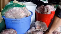 Phát hiện kho chứa 800kg thịt heo đã bốc mùi, rỉ nước
