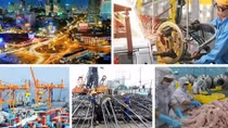 Tăng trưởng kinh tế Việt Nam vẫn vững vàng trước sóng gió