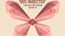 Sống động tuần lễ phim "Thế giới côn trùng quanh ta"