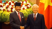 Toàn văn Tuyên bố chung về thiết lập quan hệ Đối tác Toàn diện Việt Nam - Brunei