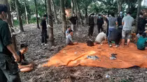 Sòng bạc “di động” quy mô lớn trong vườn cao su 