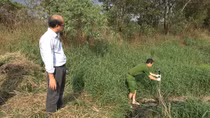 Phát hiện công ty sản xuất tinh bột xả thải ra môi trường