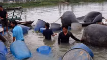 Vụ 3 bà cháu mất tích trên sông Đồng Nai: Đã tìm thấy thi thể cuối cùng