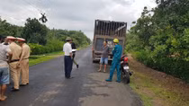 Bắt 2 xe tải chở hàng chục con heo vào vùng dịch tả lợn Châu Phi