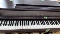 Tạm giữ container đàn piano nghi nhập lậu
