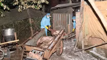 Bình Phước “căng mình” chống dịch tả lợn châu Phi 