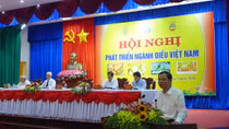 Tập trung tái cơ cấu ngành điều gắn với phát triển du lịch