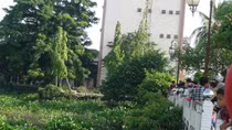 Đang tập thể dục, người dân phát hiện thi thể bà lão