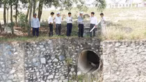 Cá chết hàng loạt hồ Từ Vân do nguồn nước bị ô nhiễm