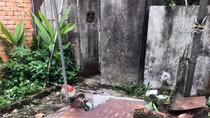 Đau lòng phát hiện thi thể cháu bé 3 tuổi dưới giếng