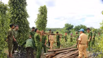 Hơn 100 cán bộ, chiến sỹ giúp dân khắc phục thiên tai ở Bù Đốp