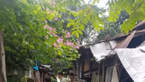 Chủ cơ sở bỏ chạy để lại hàng nghìn bình gas sang chiết trái phép