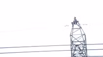 Nam thanh niên mình trần ngồi trên đỉnh cột điện cao thế la hét