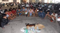 Hơn 20 người ăn thua trăm triệu trong trường gà ngày đầu năm