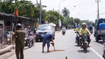 Cháu bé 15 tuổi bị thân dừa đè tử vong