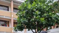 Đảm bảo công tác phòng chống dịch COVID-19 đón học viên Campuchia