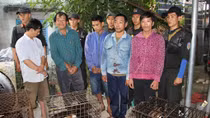 Triệt phá đường dây trộm chó nguy hiểm ở Tây Ninh