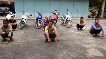 Phá đường dây vận chuyển hơn 30 xe gian từ TP Hồ Chí Minh về Tây Ninh