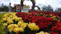 Gần 50 hoạt động sôi nổi tại Festival Hoa Đà Lạt 2017
