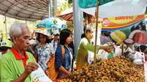 Đặc sản miệt vườn quy tụ tại Lễ hội Trái cây Nam Bộ 2019 