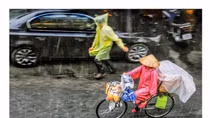 Thân thương phận người mưu sinh qua góc máy Trần Thế Phong
