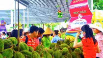 Lễ hội Trái cây Nam Bộ dự kiến thu hút hơn 1,6 triệu khách