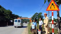 Quảng Nam có 13 địa phương xuất hiện dịch tả lợn châu Phi
