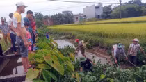 Xem 4 thanh niên dùng xung điện chích cá, nhiều người không đeo khẩu trang