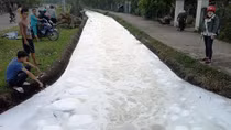 Dòng kênh trắng như nước xà phòng, xác cá dạt đầy ven bờ