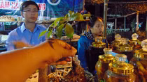1.100 lượt người đến với phiên chợ sâm Ngọc Linh lần thứ 4