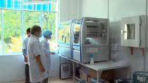 Trường ĐH Phan Châu Trinh được xét nghiệm sàng lọc SARS-CoV-2