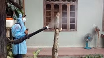 Quảng Nam triển khai nhiều giải pháp phòng chống bệnh SXH