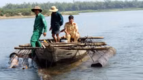 Gặp Công an, lâm tặc vứt gỗ trên sông Thu Bồn lao ghe bỏ chạy 